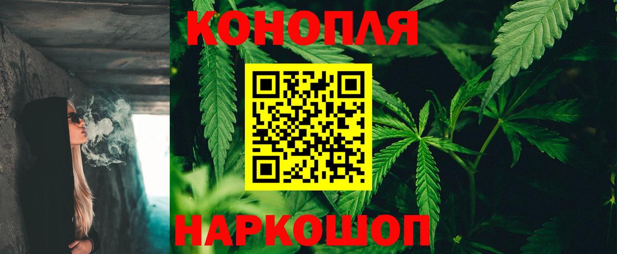 Бошки марихуана OG Kush  Канабис сатива  Вход с VPN  Бошки Шишки планчик  Карабулак  Конопля OG Kush 